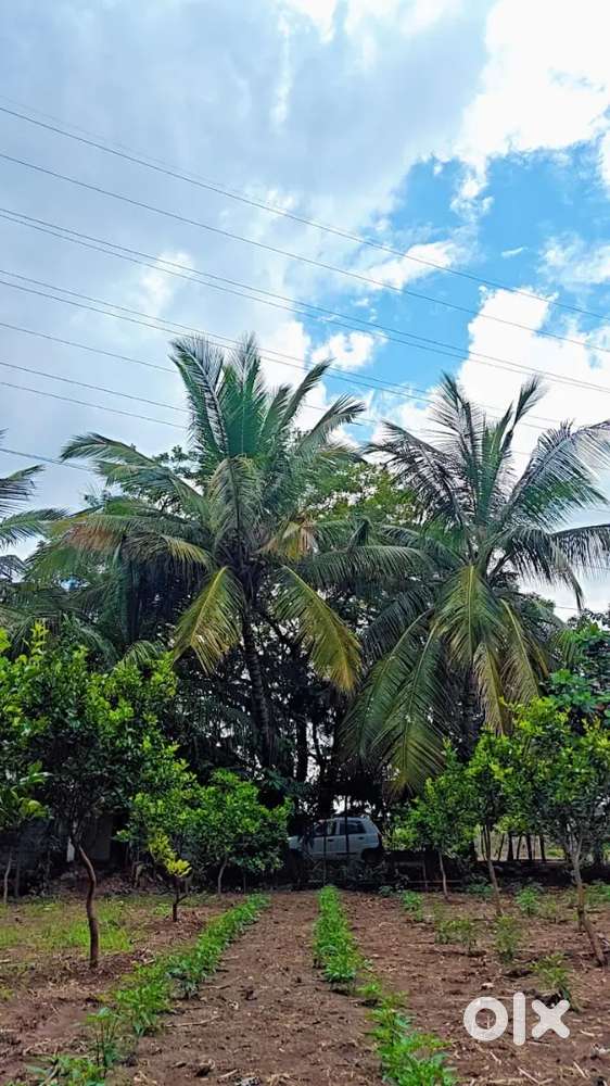 Land for Rent – Suitable Agro Tourism, Hurda Party & Resort