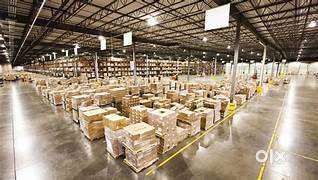 Immediate Joining Job