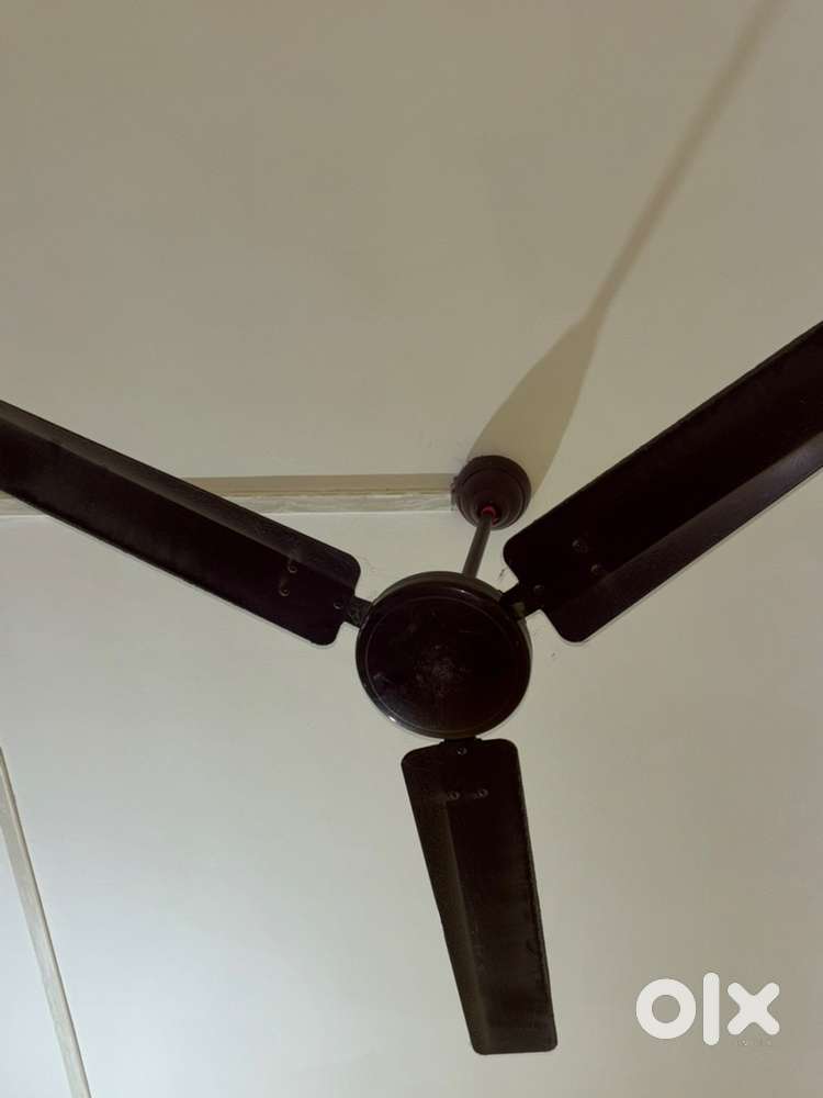 Fan for sell 2 nos of ceiling fan for  sell