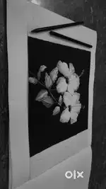 Posters, Paintings, Drawing prints