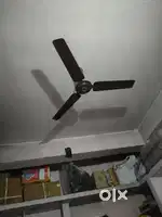 Seiling fan & table fan