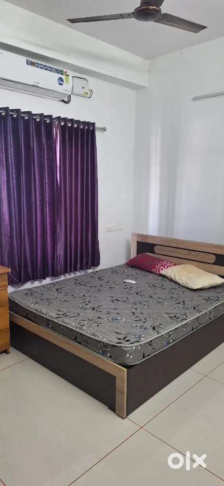 2 BHK fully furnished brand new apartment for rent near vyttila