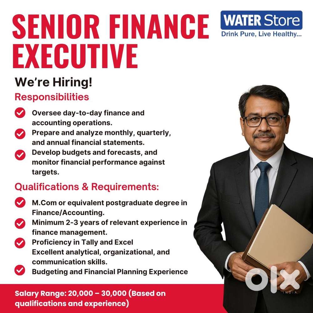 Job Title: Finance Officer