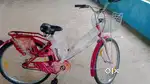 Hero 26 eliza bicycle for ladies