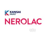 Sales executive in KANSAI NEROLAC PAINTS