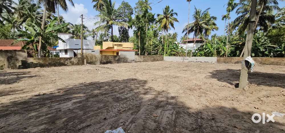 10cents For Sale Karikkakam mai road 100meter distance