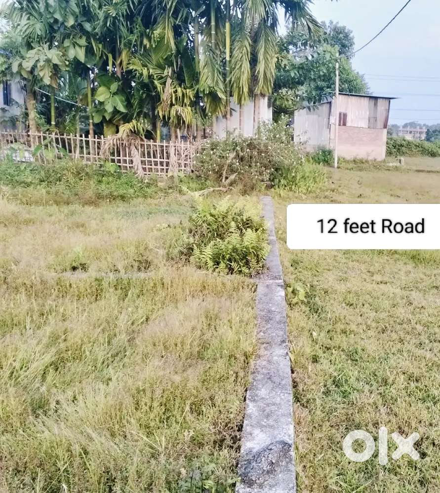 Registered Land sale