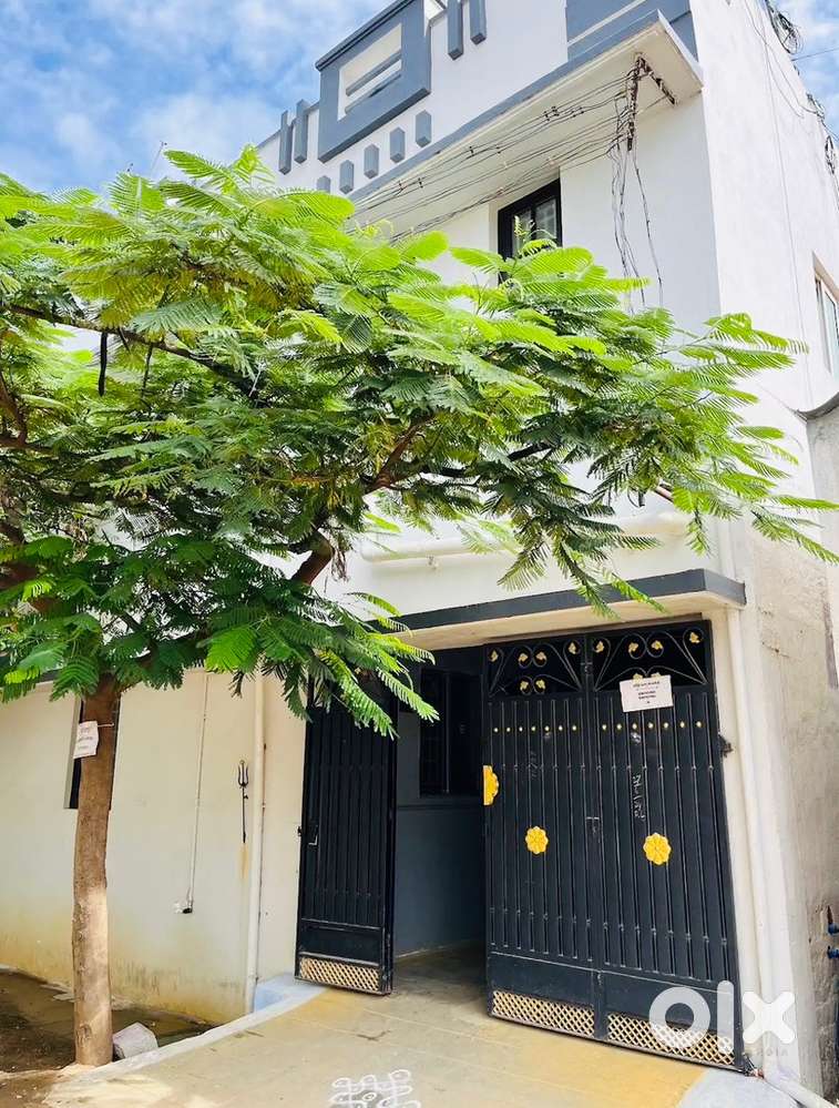 House for rent