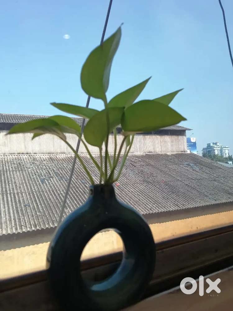 JOB seekers and Employer's