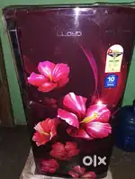 Havells Lloyd