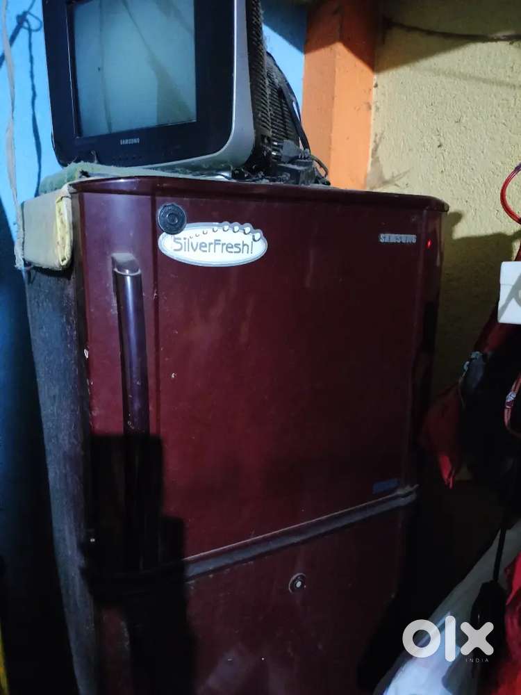 Samsung TV 14 and Samsung Refrigerator double door