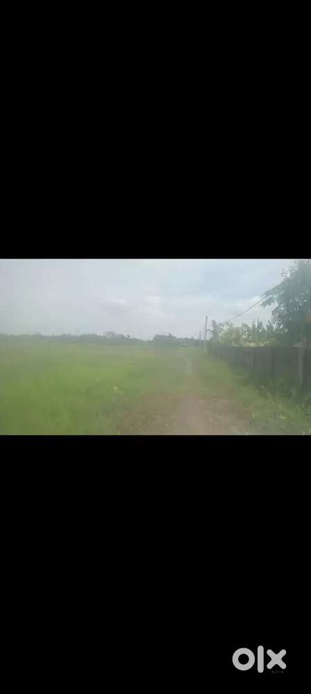 Tinsukia Dohotiachuk near plot per katha 25 lakhs
