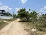 Plot for Sale Near Maidha Factory Muraganipalli