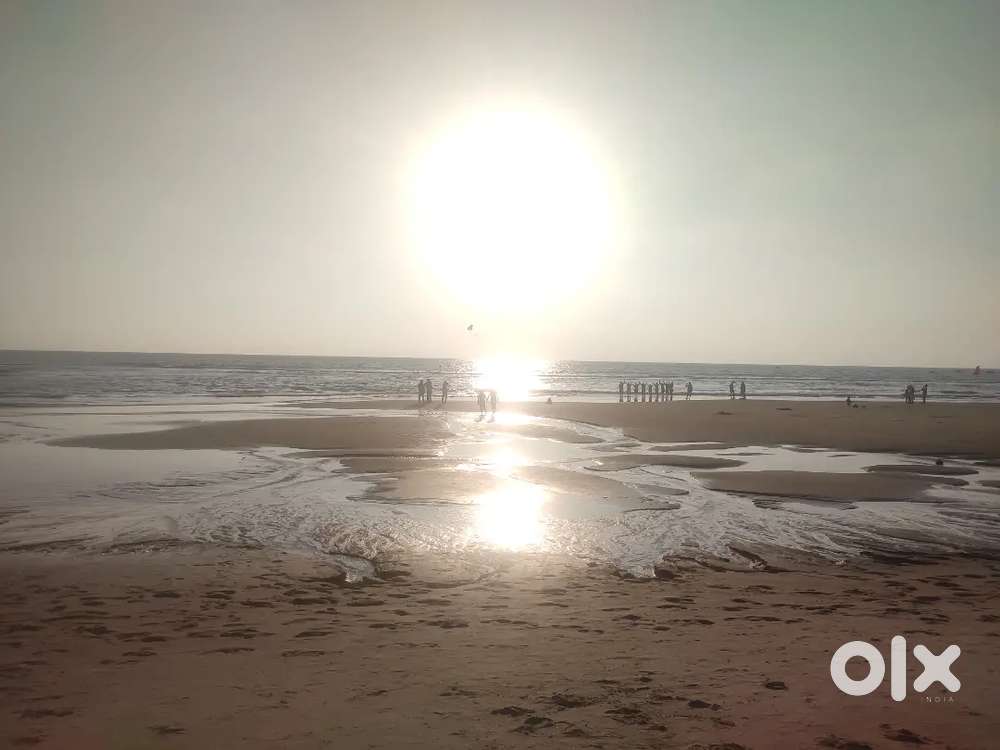 want all rounder cook