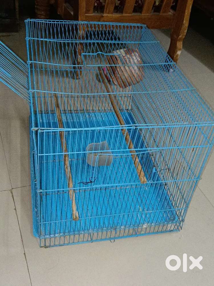Cage for birds for sale