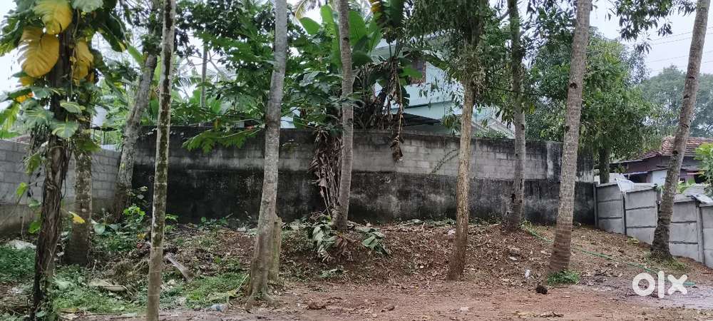 Perumbuzha Property