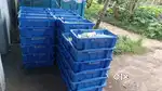 Milk products supply beypore