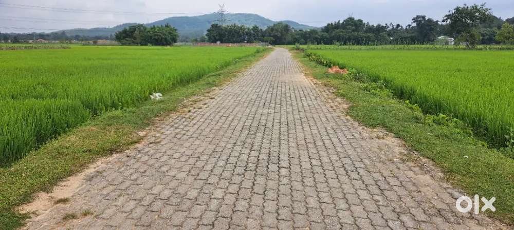 One bigha Miyagi land near by 6 land