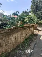 Thrissur nellikunnu 9 cent plot for sale per cent 10.50 lakh