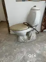 Wester new branded used toilet seat