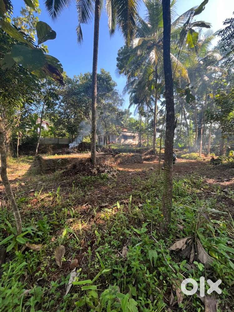 9cent plot for sale(4.5lakh per cent)
