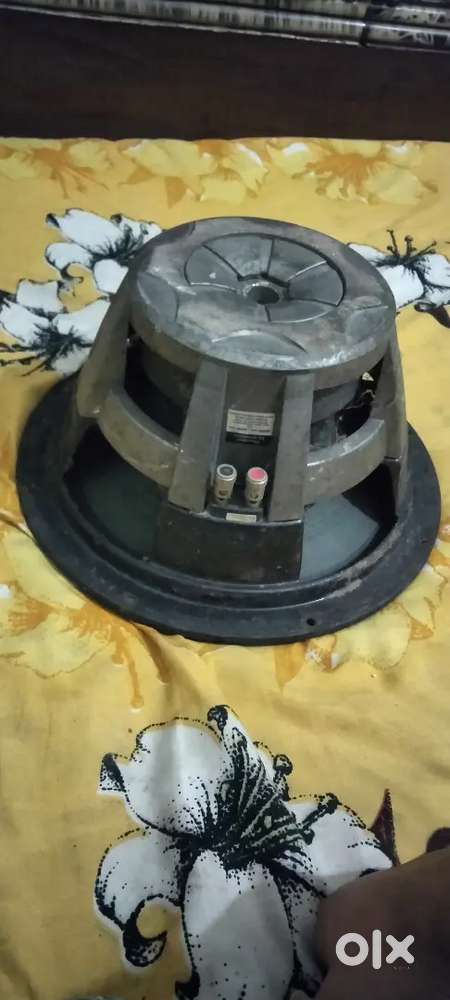 Pioneer company speaker