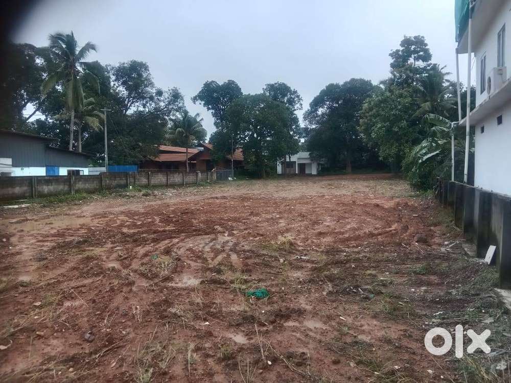 58 Cent commercial plot in Ernakulam, Irumpanam