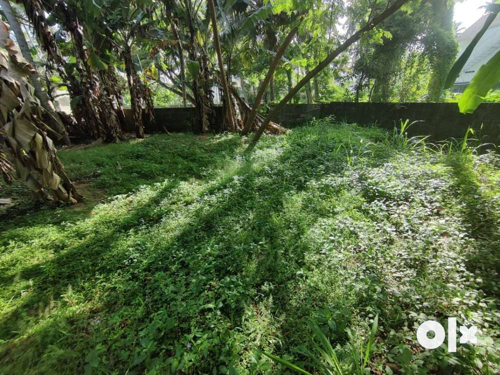 (IDR193132) Commercial/Residential Land for Sale in Venpalavattom