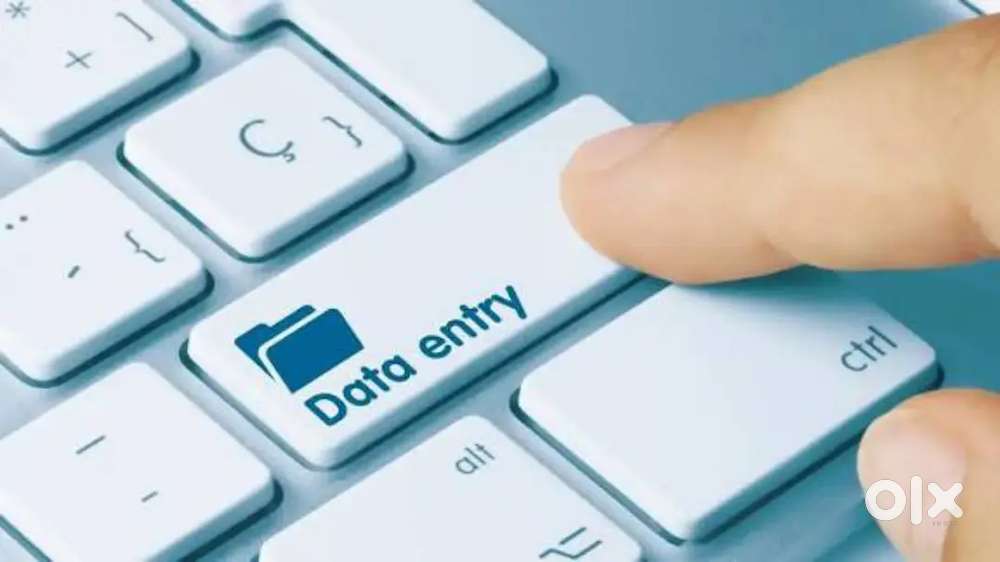 Data entry operators with having Diploma in Computer Application