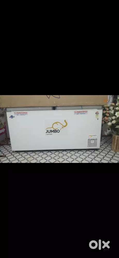 jumbo freezer