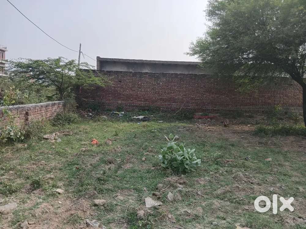 250 guj plot Renukpura Rohtak