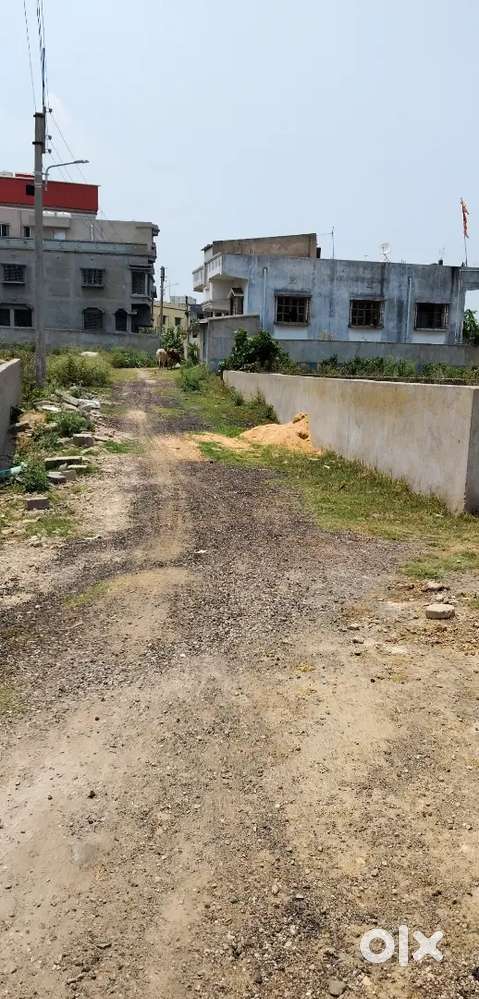 2 KATA 3 KATA PLOT SALE 10.50/per kata (FULJHORE BIDHAN PARK )