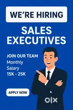 Sales executive