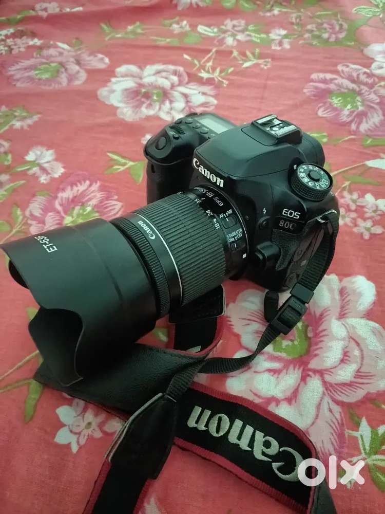 Canon 80d camara
