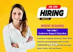 BPO Telesales Executive