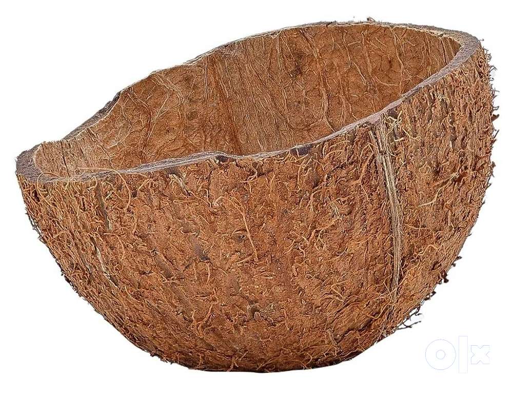 Coconut shell