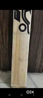 12+ grains Dual Shade English Willow Bat