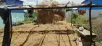 Plaat for sale