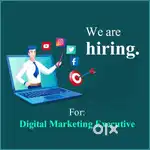 Digital Marketing Executive