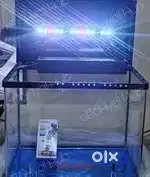Decorative tank for sale