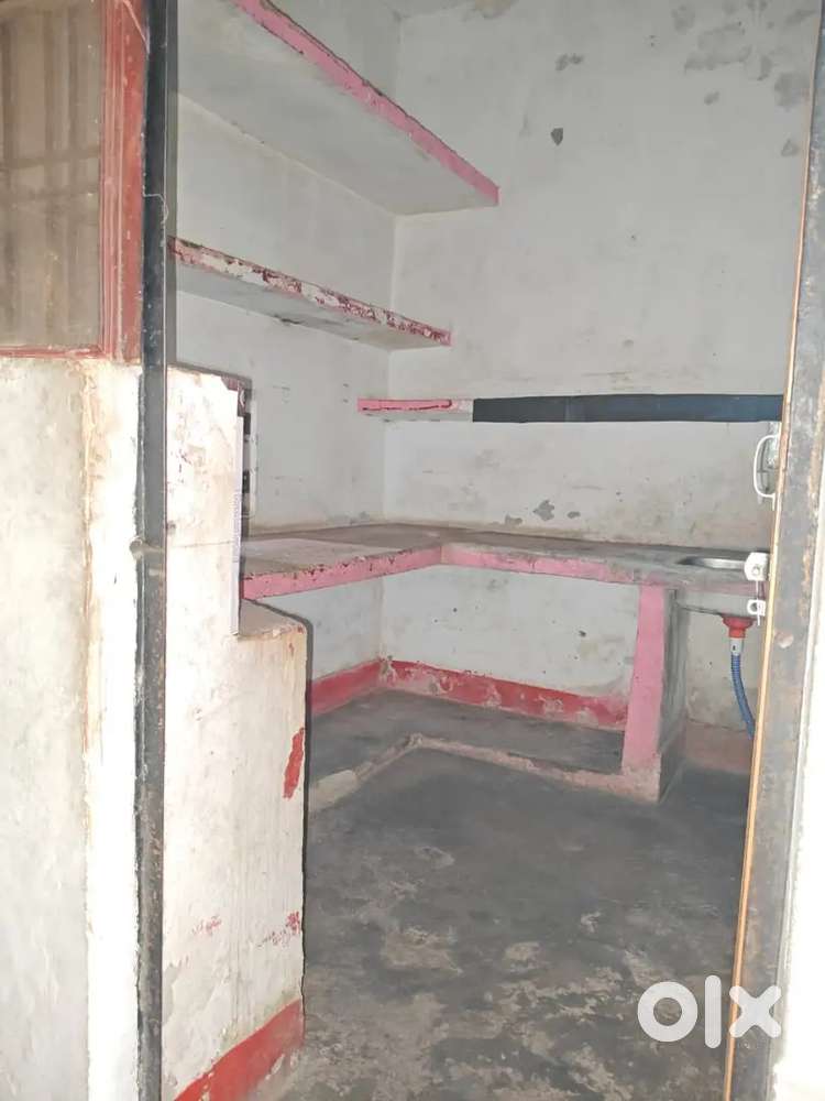 Roommate girls boys donon