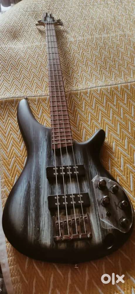 BASS Guiter Professional
