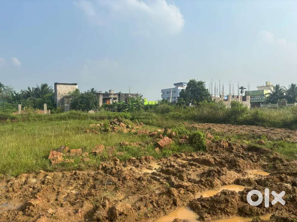 Kendriya Vihar, Tomando