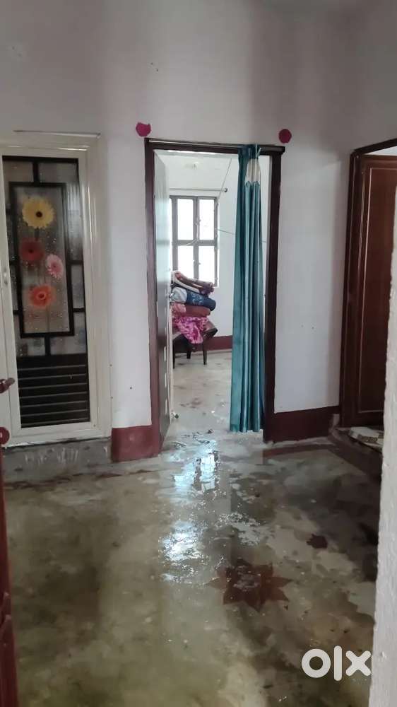 Allow families and bachelor