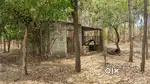 10 Acres Appd land with Redwood tree near padappai