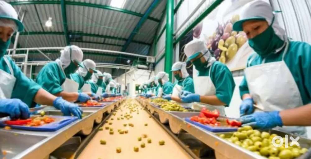 पैकिंग और स्कैनिंग जॉब्स के लिए अप्लाई करें