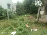 Empty land