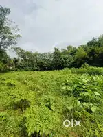 Land for sale in chakkuvally near prasanthi hospital back side