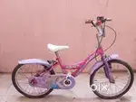 Sale for 2 cycle (  4/7 year & 8&10 year kids) EACH 1499/-