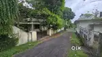 Kalamassery Shanti Nagar 14cent prime land with old house 16 lack cent